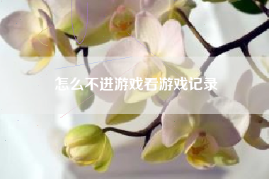 怎么不进游戏看游戏记录