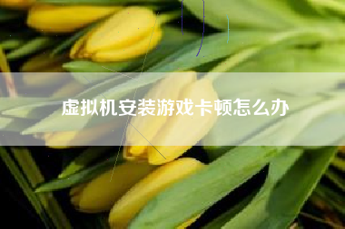 虚拟机安装游戏卡顿怎么办