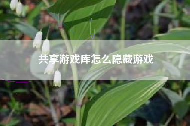 共享游戏库怎么隐藏游戏