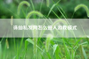 诛仙私发网怎么进入游戏模式