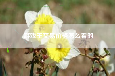 游戏王交易价格怎么看的