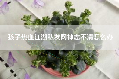 孩子热血江湖私发网神志不清怎么办