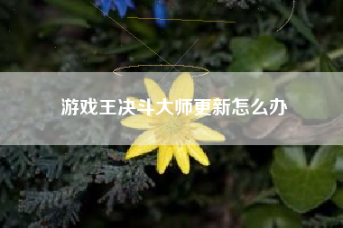 游戏王决斗大师更新怎么办