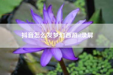 抖音怎么发梦幻西游sf录屏