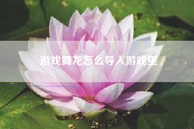 游戏舞龙怎么导入游戏里