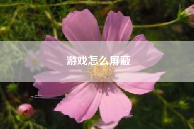 游戏怎么屏蔽