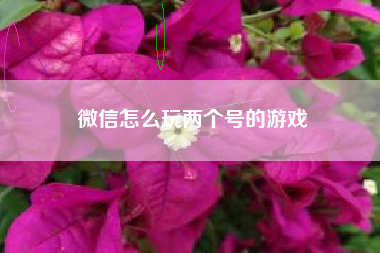 微信怎么玩两个号的游戏