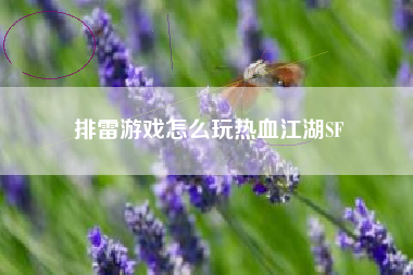 排雷游戏怎么玩热血江湖SF