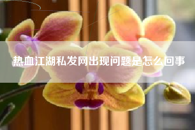 热血江湖私发网出现问题是怎么回事