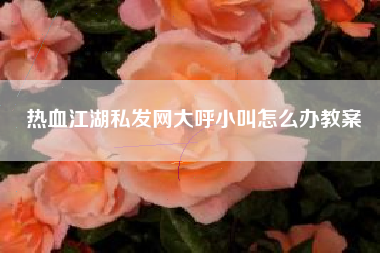 热血江湖私发网大呼小叫怎么办教案