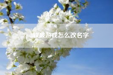 ps3软破游戏怎么改名字