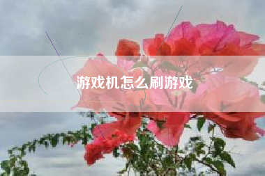 游戏机怎么刷游戏