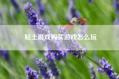 粘土游戏购买游戏怎么玩