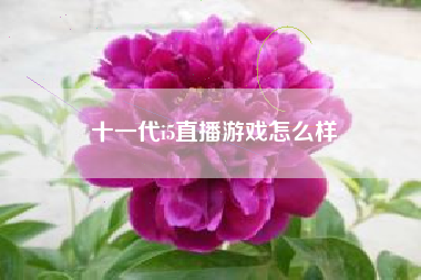 十一代i5直播游戏怎么样