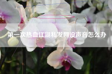 第一次热血江湖私发网没声音怎么办