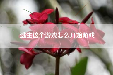 逃生这个游戏怎么开始游戏