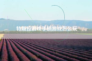 特斯拉游戏手柄游戏怎么玩