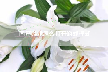国产游戏怎么打开游戏模式