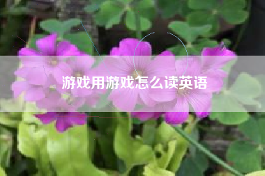 游戏用游戏怎么读英语