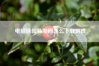 电脑诛仙私发网怎么下载游戏