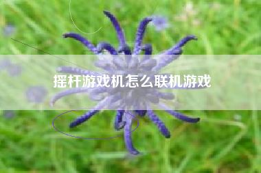 摇杆游戏机怎么联机游戏