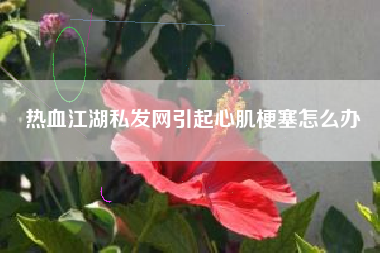 热血江湖私发网引起心肌梗塞怎么办  第1张