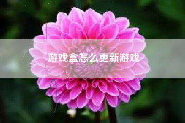 游戏盒怎么更新游戏