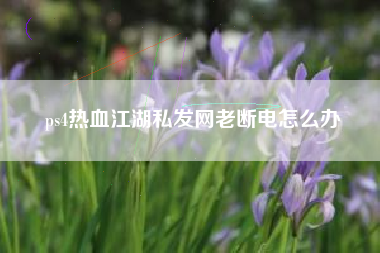 ps4热血江湖私发网老断电怎么办