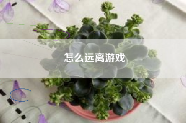 怎么远离游戏