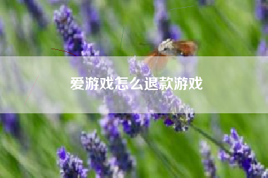 爱游戏怎么退款游戏