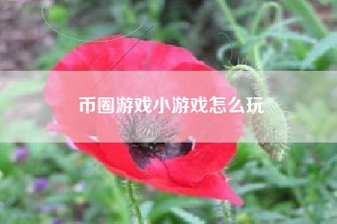币圈游戏小游戏怎么玩