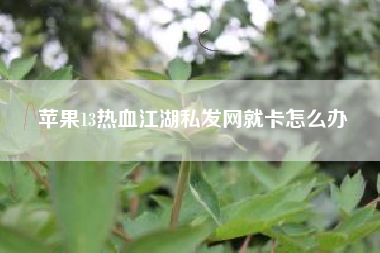 苹果13热血江湖私发网就卡怎么办