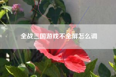 全战三国游戏不全屏怎么调
