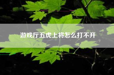 游戏厅五虎上将怎么打不开