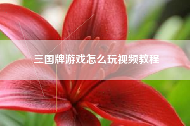 三国牌游戏怎么玩视频教程