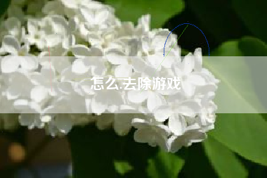 怎么.去除游戏
