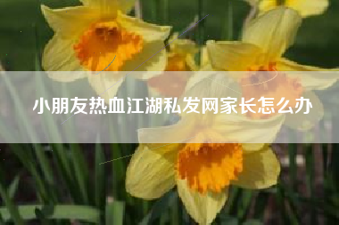 小朋友热血江湖私发网家长怎么办