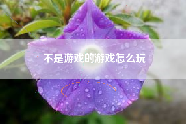 不是游戏的游戏怎么玩