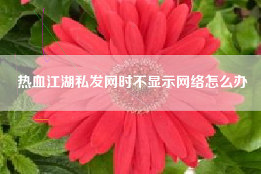 热血江湖私发网时不显示网络怎么办