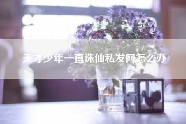 天才少年一直诛仙私发网怎么办