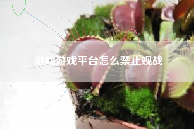 游戏游戏平台怎么禁止观战
