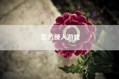 怎么侵入游戏