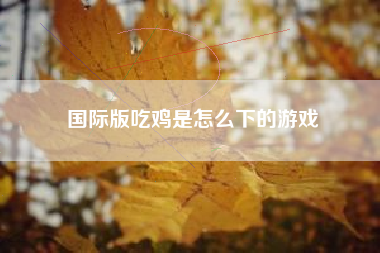 国际版吃鸡是怎么下的游戏