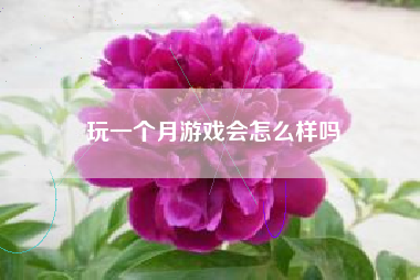 玩一个月游戏会怎么样吗