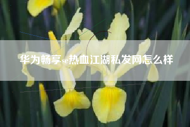 华为畅享se热血江湖私发网怎么样
