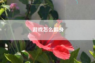 游戏怎么翻身
