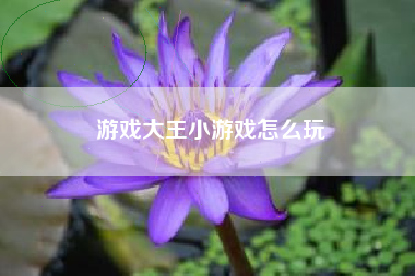 游戏大王小游戏怎么玩