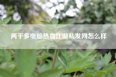 两千多电脑热血江湖私发网怎么样  第1张