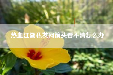 热血江湖私发网箭头看不清怎么办