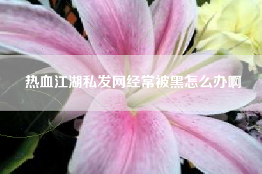 热血江湖私发网经常被黑怎么办啊